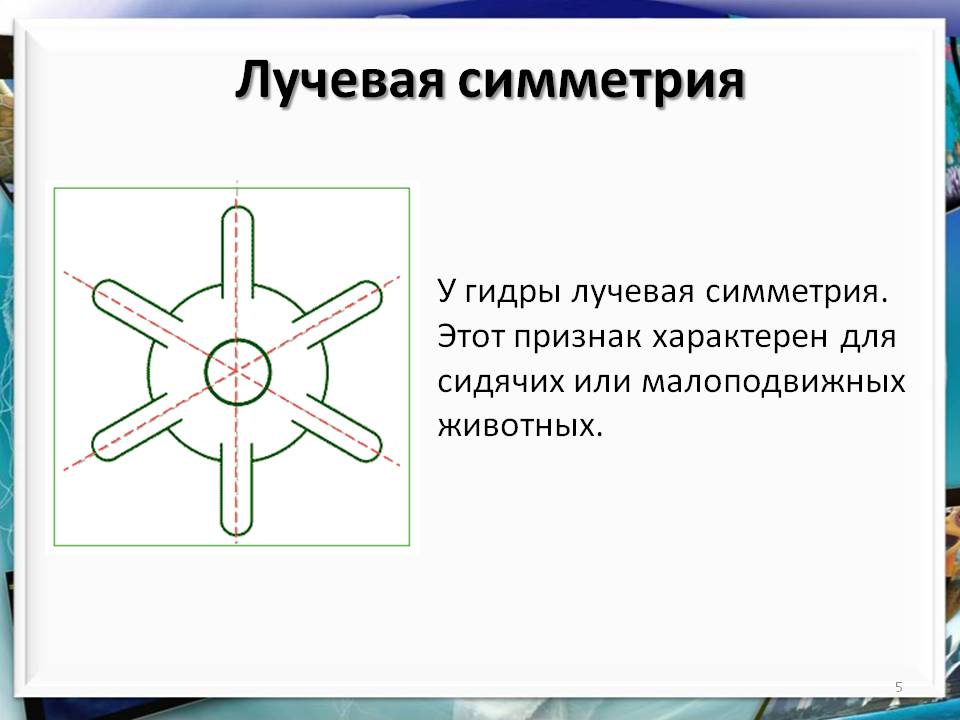 Кракен это современный даркнет маркетплейс