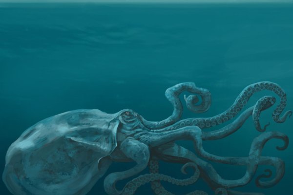 Kraken зеркало даркнет